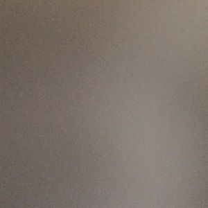 Meet your Posher, Reagan